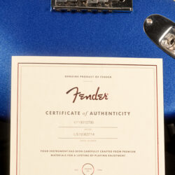 Fender American Professional II Stratocaster