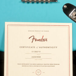 Fender American Professional II Stratocaster