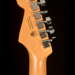 Fender American Professional II Stratocaster