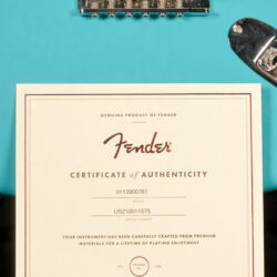 Fender American Professional II Stratocaster