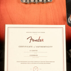 Fender American Professional II Telecaster