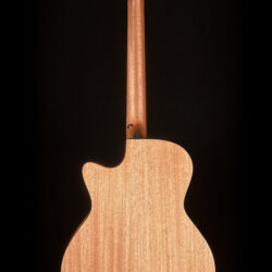 Furch Blue D-SW