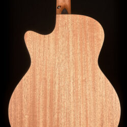 Furch Blue D-SW