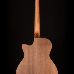 Furch Blue Gc-SW