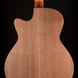 Furch Blue Gc-SW