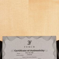 Furch Blue Gc-SW