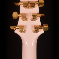 PRS Custom 22