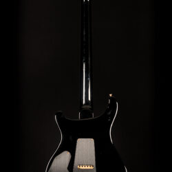 PRS Custom 24 Piezo