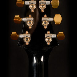 PRS Custom 24 Piezo