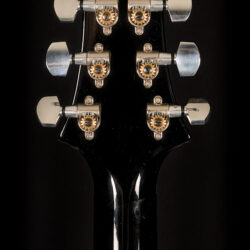 PRS Hollowbody II Piezo