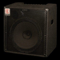 Eden EC15-S 180W Bass Combo