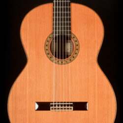 Esteve Octave Bass