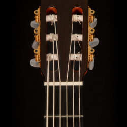 Esteve Octave Bass