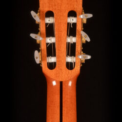 Esteve Octave Bass