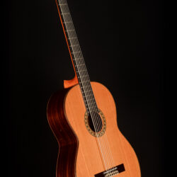 Esteve Octave Bass