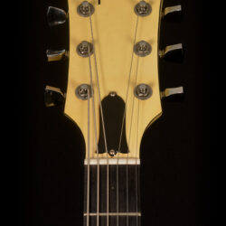 Gibson Les Paul Buckethead 2010