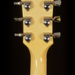 Gibson Les Paul Buckethead 2010
