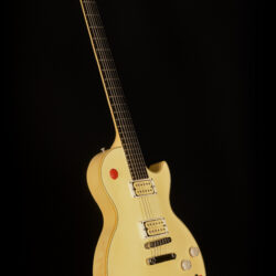 Gibson Les Paul Buckethead 2010