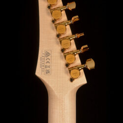 Ibanez JS2GD Gold Boy Joe Satriani Signature