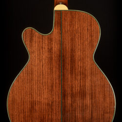 Takamine LTD99