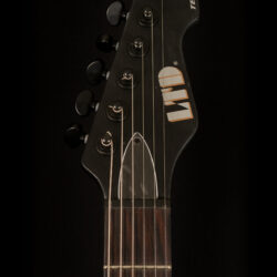 ESP LTD TE-401