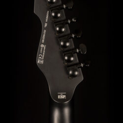 ESP LTD TE-401