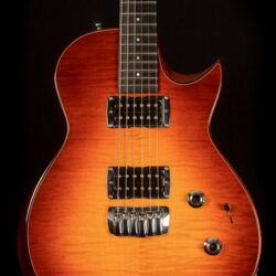 Taylor Solid Body Standard