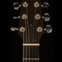 Taylor Solid Body Standard