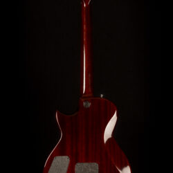 Taylor Solid Body Standard