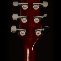 Taylor Solid Body Standard