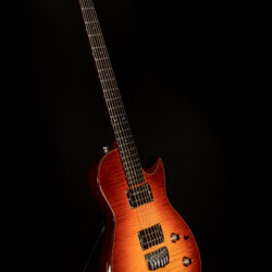 Taylor Solid Body Standard