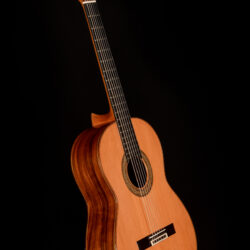 Esteve Manuel Adalid Model 12