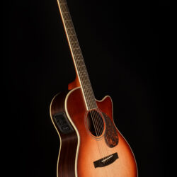 Furch Vintage 2 OMc-SR