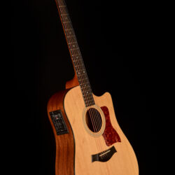 Taylor 310-CE