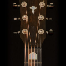 Taylor 611e LTD