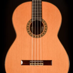 Esteve Contrabajo Acoustic Bass