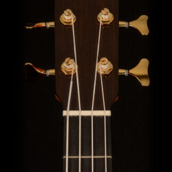 Esteve Contrabajo Acoustic Bass