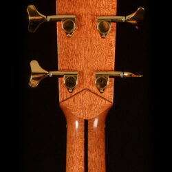 Esteve Contrabajo Acoustic Bass