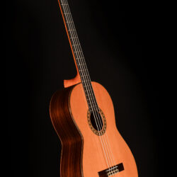 Esteve Contrabajo Acoustic Bass