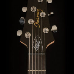 Ibanez NDM5-SB Noodles Signature