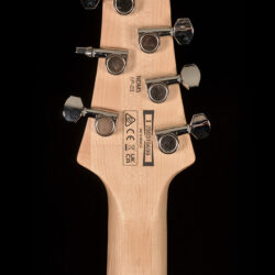 Ibanez NDM5-SB Noodles Signature