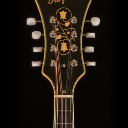 Höfner Mandolin