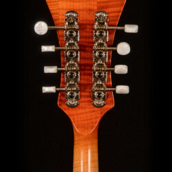 Höfner Mandolin