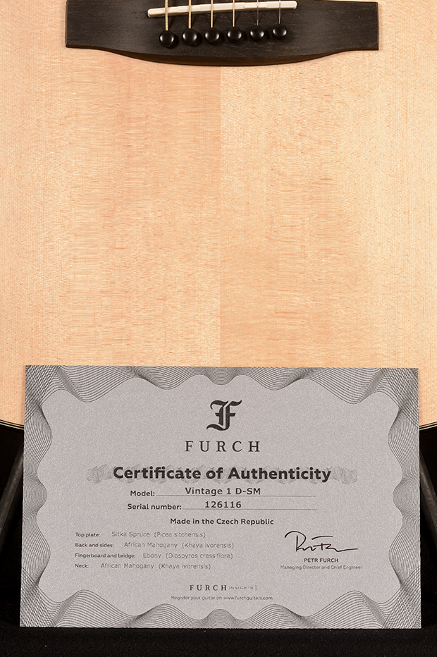 Furch Vintage 1 D-SM EAS-VTC 