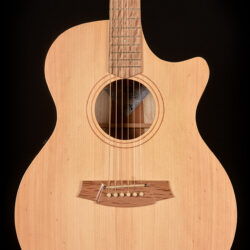 Cole Clark AN Grand Auditorium AN2EC-BB