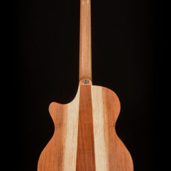 Cole Clark AN Grand Auditorium AN2EC-BB