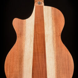 Cole Clark AN Grand Auditorium AN2EC-BB