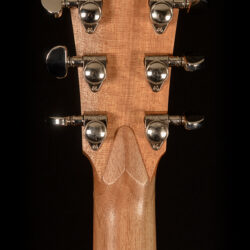 Cole Clark AN Grand Auditorium AN2EC-BB