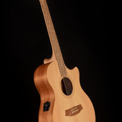 Cole Clark AN Grand Auditorium AN2EC-BB