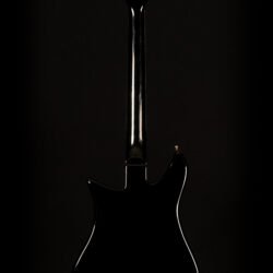 Duesenberg Double Cat